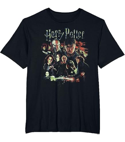 Amazon.com: Wizarding World Harry Potter Chamber of Secrets Poster